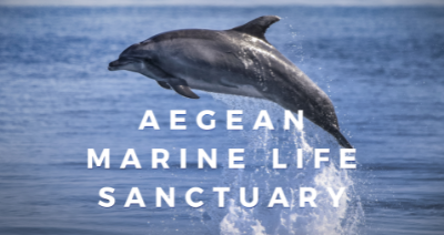 Aegean Marine Life Sanctuary