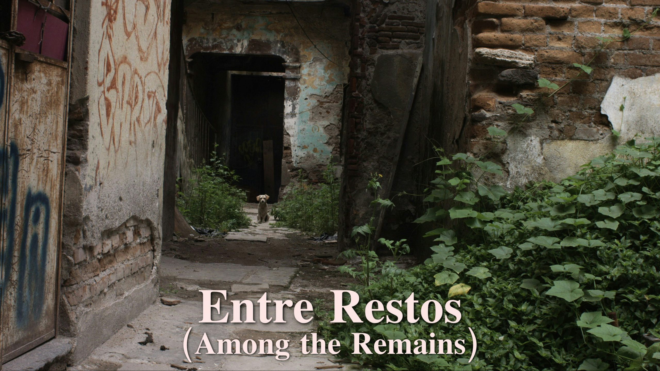 Entre Restos (Among the Remains)