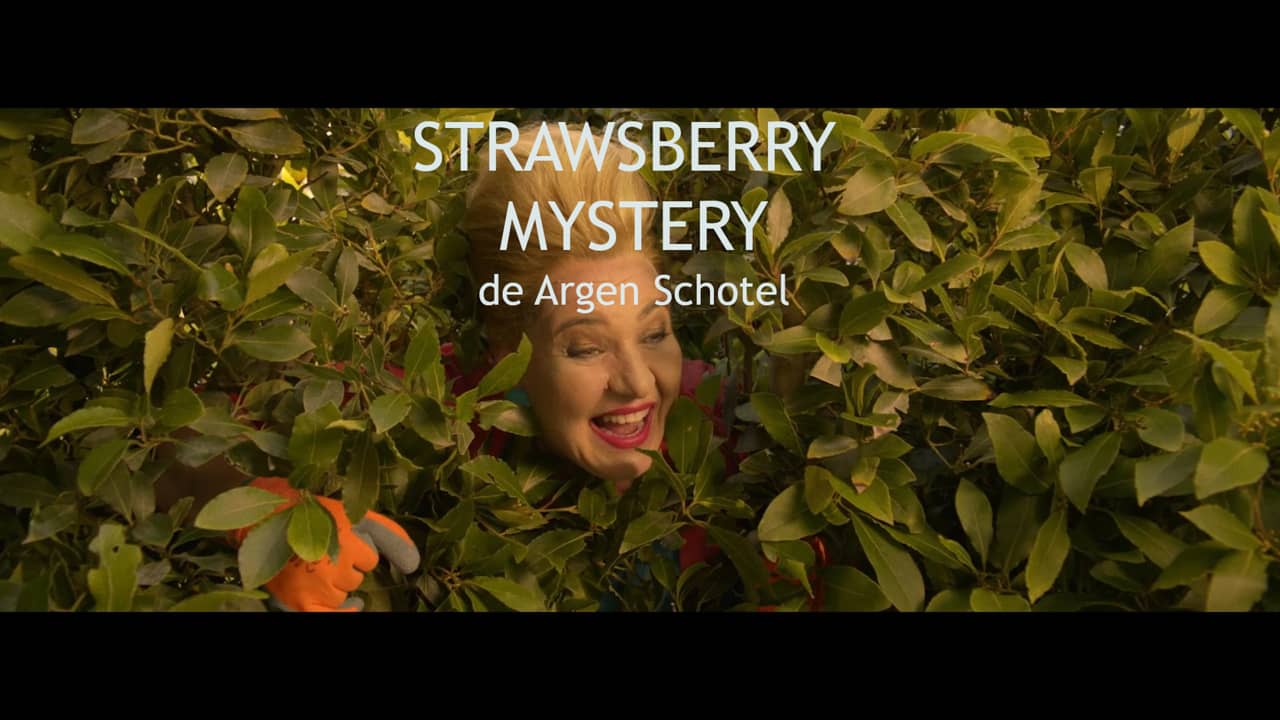 STRAWSBERRY MYSTERY