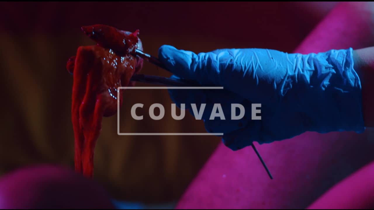 COUVADE